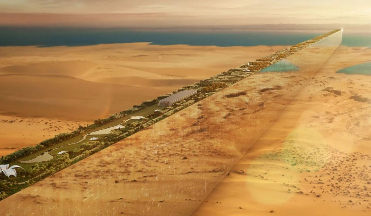 “沙特未来城”破次元开建，中国承包商完成最大桩基施工插图1